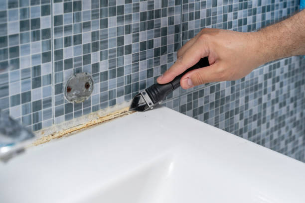 Certified Mold Removal in Lexington, NE