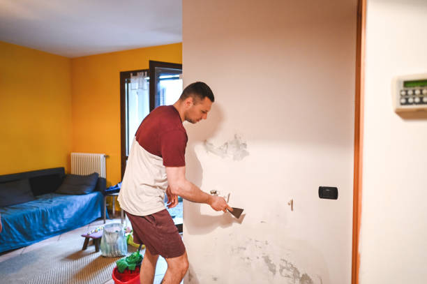Professional Mold Removal in Lexington, NE